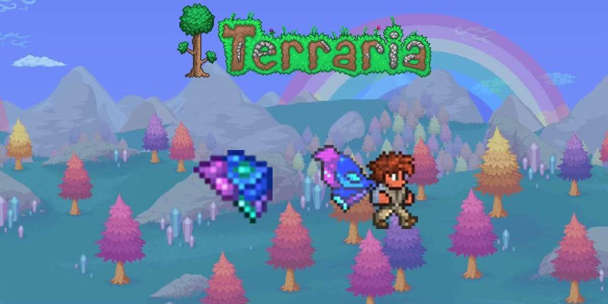 terraria builds characterTikTok Search